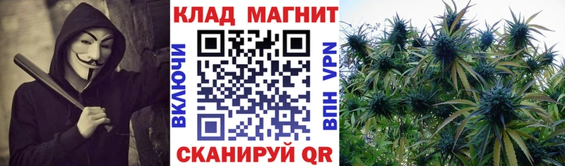 Купить Кашира Бошки Шишки Кокаин Мефедрон
