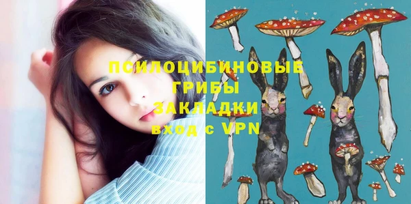 PSILOCYBIN Навашино